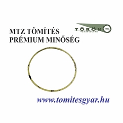MTZ centrifugál szűrő karika tömítés ECO 1,0mm - 50-1404059