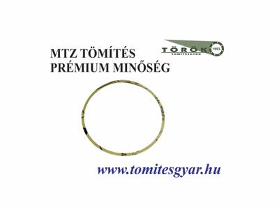 MTZ centrifugál szűrő karika tömítés ECO 1,0mm - 50-1404059