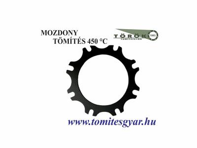 Mozdony tömítés Motoritból (407) 